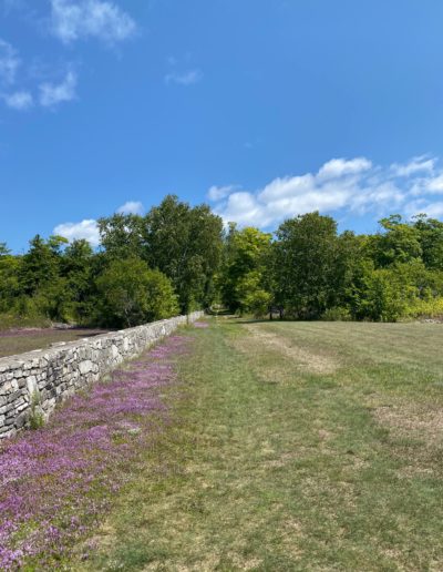 Rock Island Trails