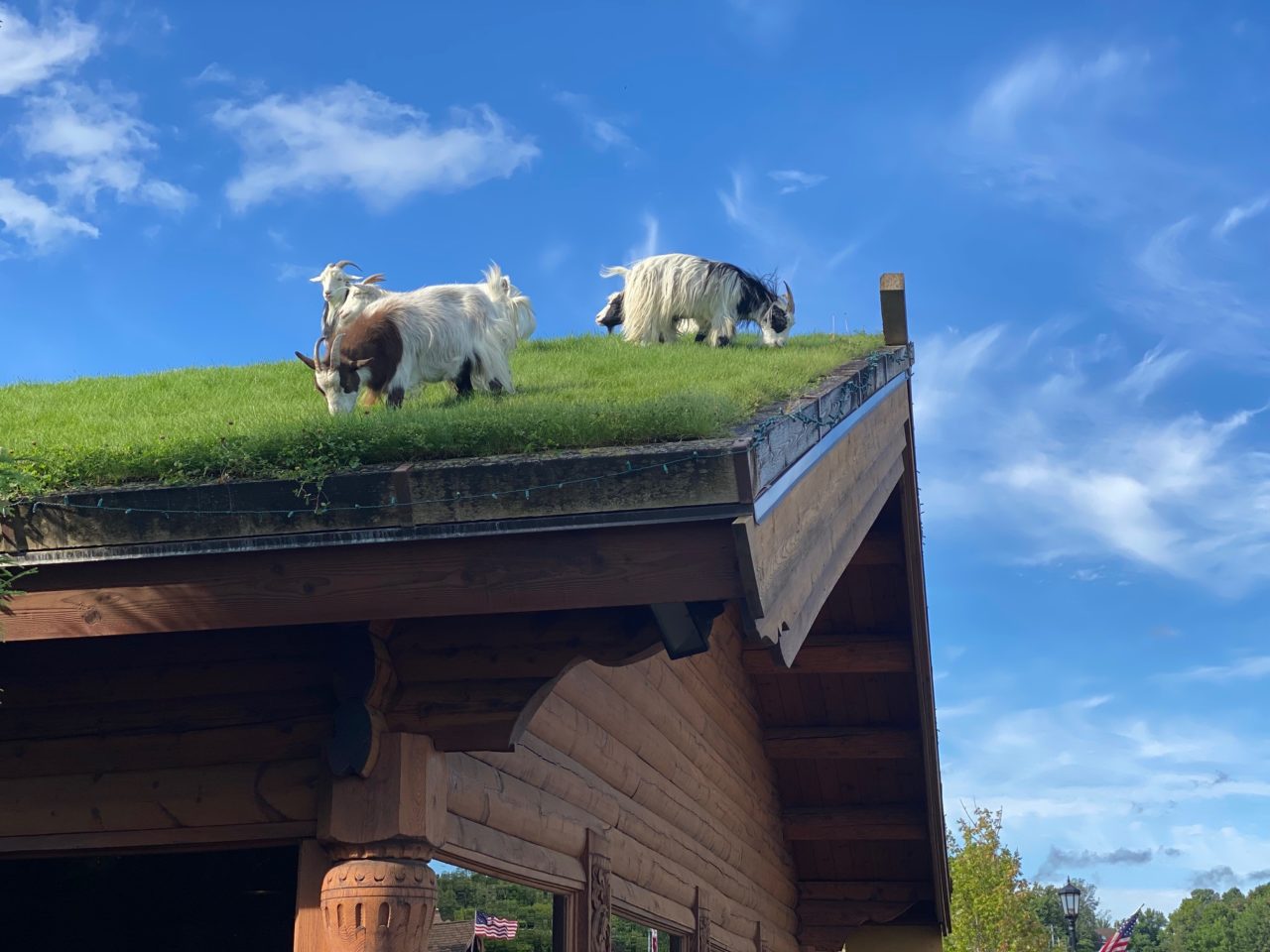 Top Seven Family Friendly Restaurants in Door County We Wisconsin