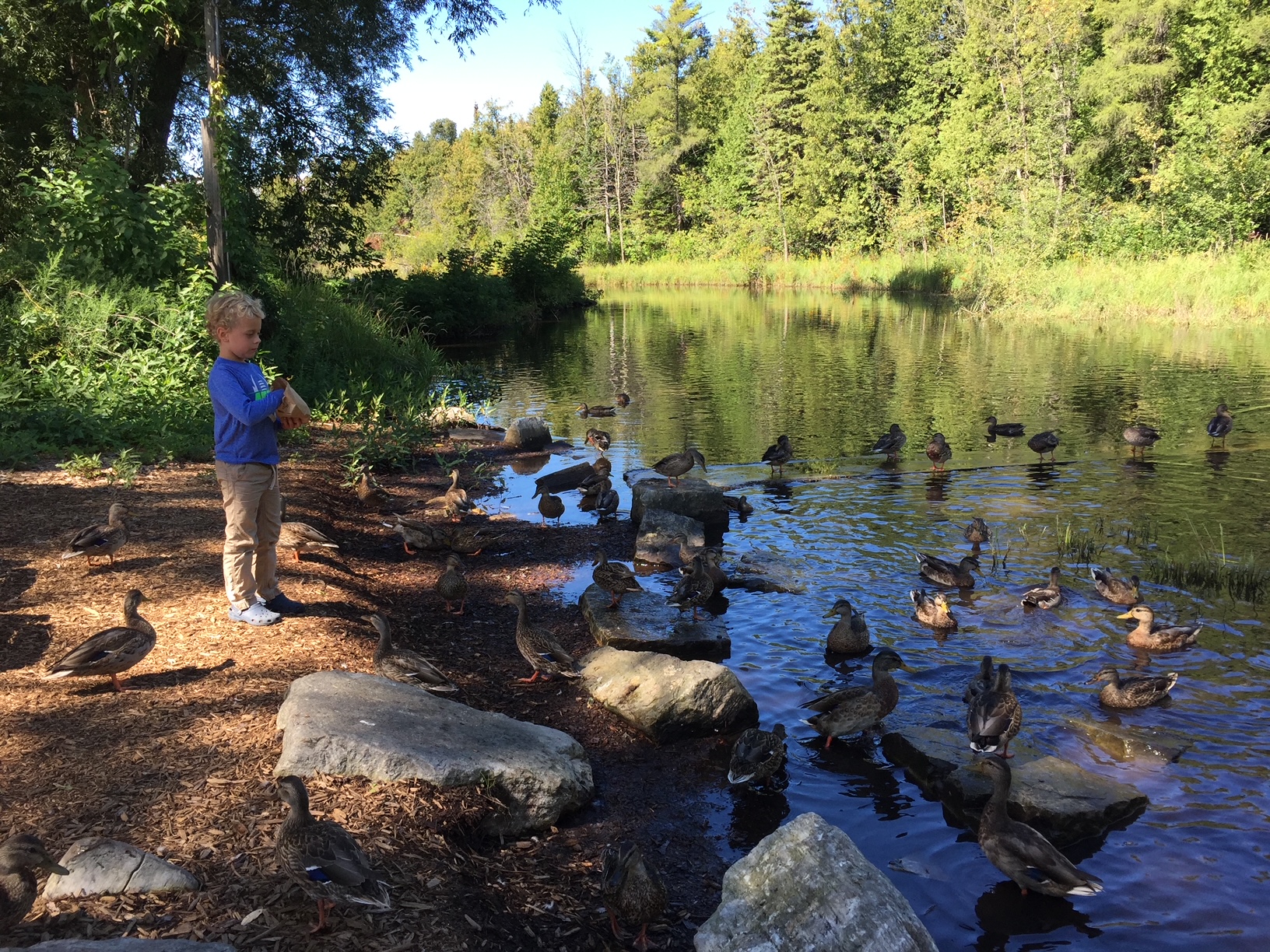 Family-friendly-restaurants-door-county-Not-Licked-Yet Not Licked Yet Frozen Custard in Fish Creek Door County