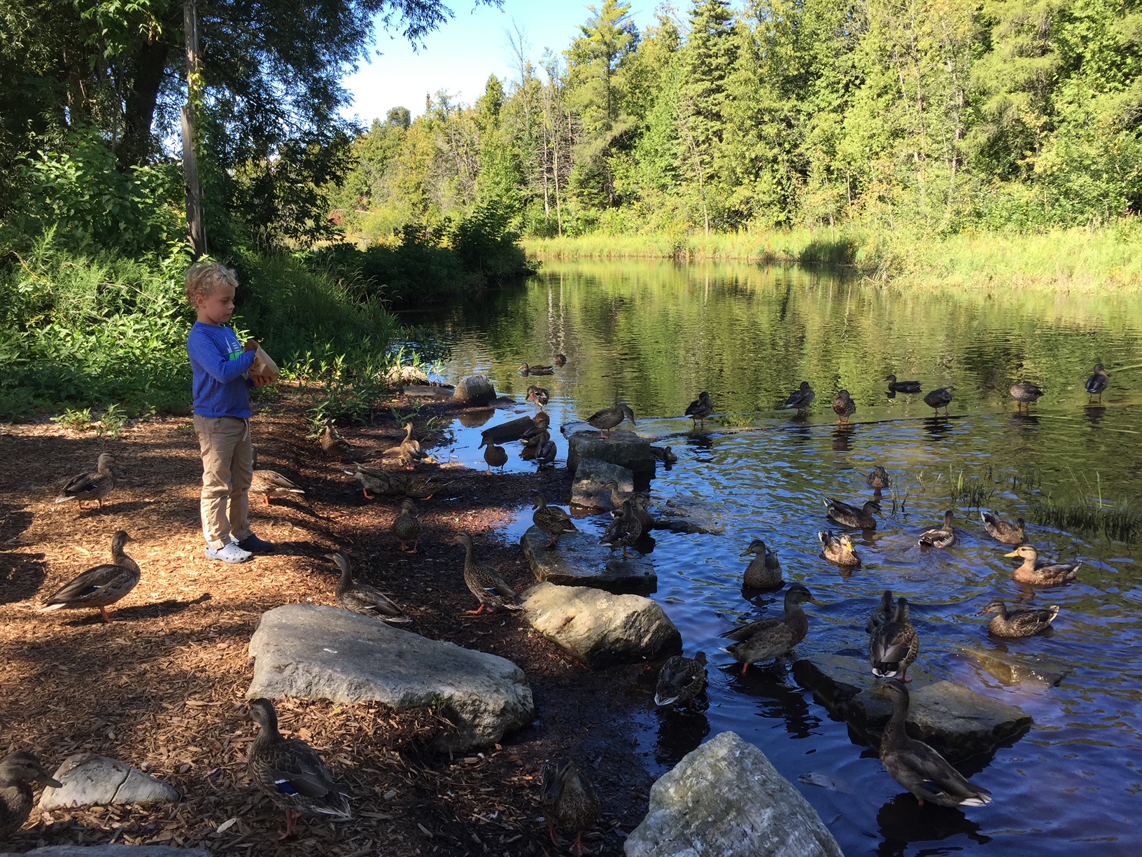 Top Ice Cream Destinations in Door County