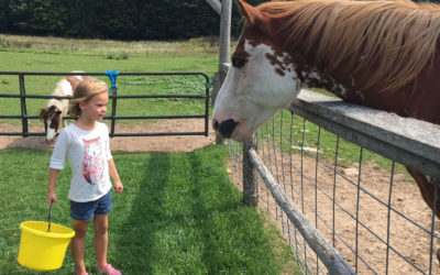 Door County Animal Experiences for the Entire Family