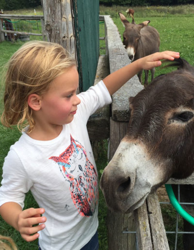 Plum Loco Farm in Door County, WI