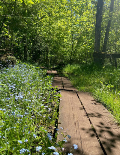 Eagle Trail at Peninsula State Park in Wisconsin