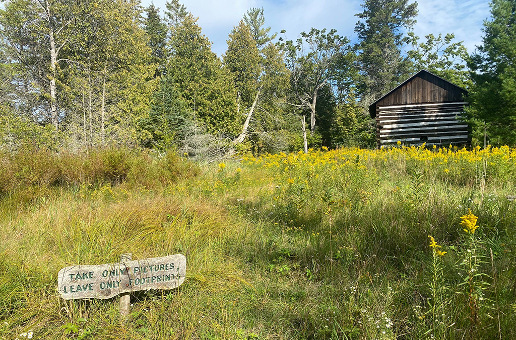 Toft Point Nature Area in Baileys Harbor in Door County, WI