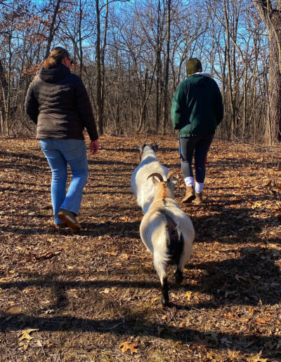 Hoof It Galena Walking with the Goats