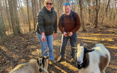 Hoof It Galena: A Guide to Unique Goat Trek Experiences