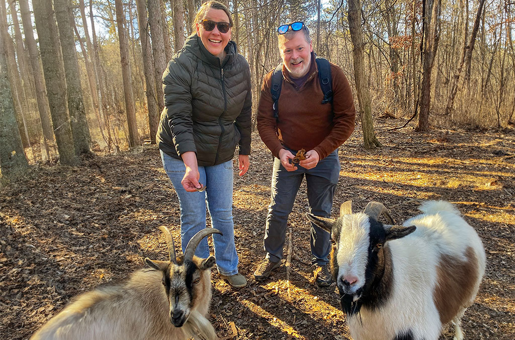 Hoof It Galena Goat Treks. Spend a day walking with goats.