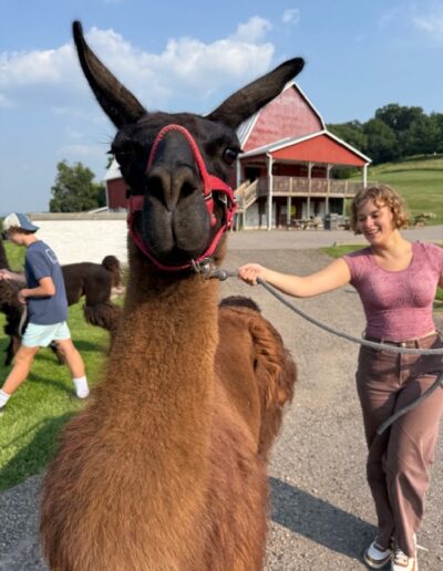 Justin Trails Resort and Cabins in Sparta Wisconsin - Llama