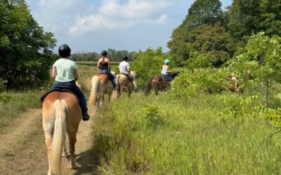 Door County Horseback Riding: Guided Trail Rides
