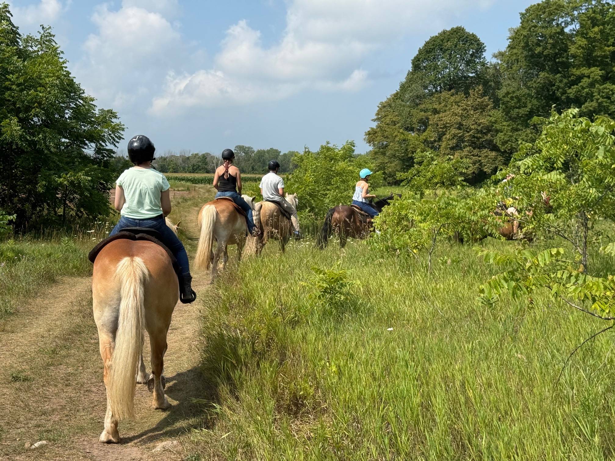 Door County Horseback Riding at Door County Horsemanship